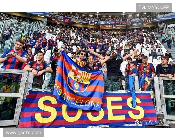 欧洲杯纪录片传递足球盛宴的传奇与激情，展现历史回顾与辉煌瞬间