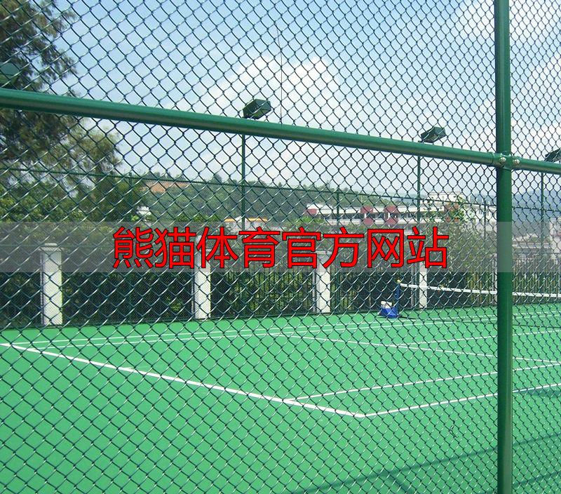 熊猫体育官方网站