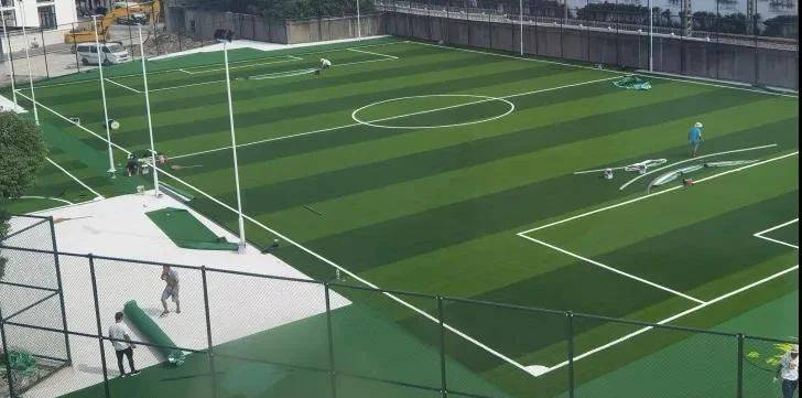 熊猫体育官方网站