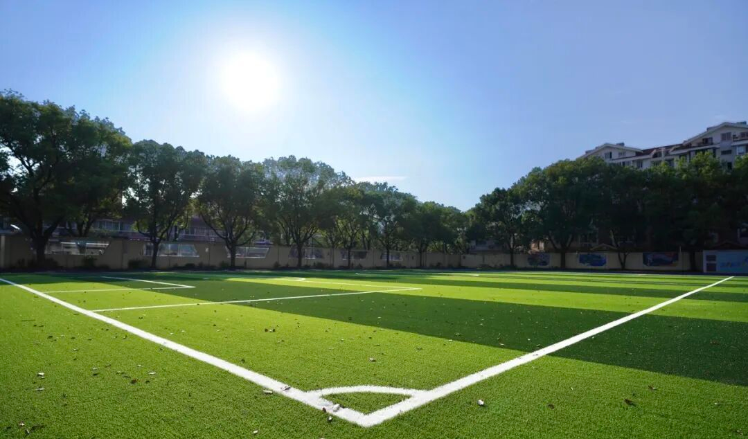 熊猫体育官方网站