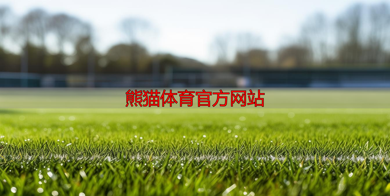 熊猫体育官方网站