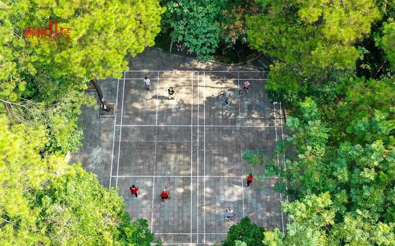 熊猫体育官方网站