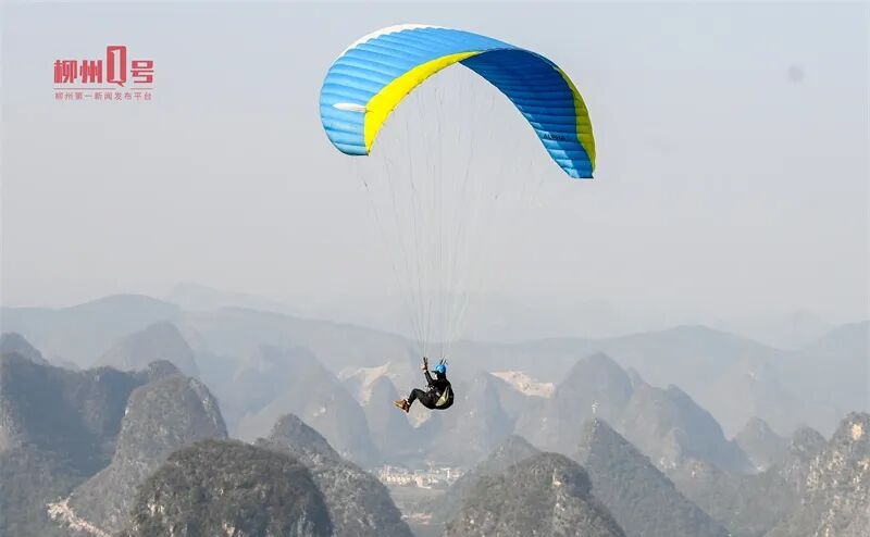 熊猫体育官方网站