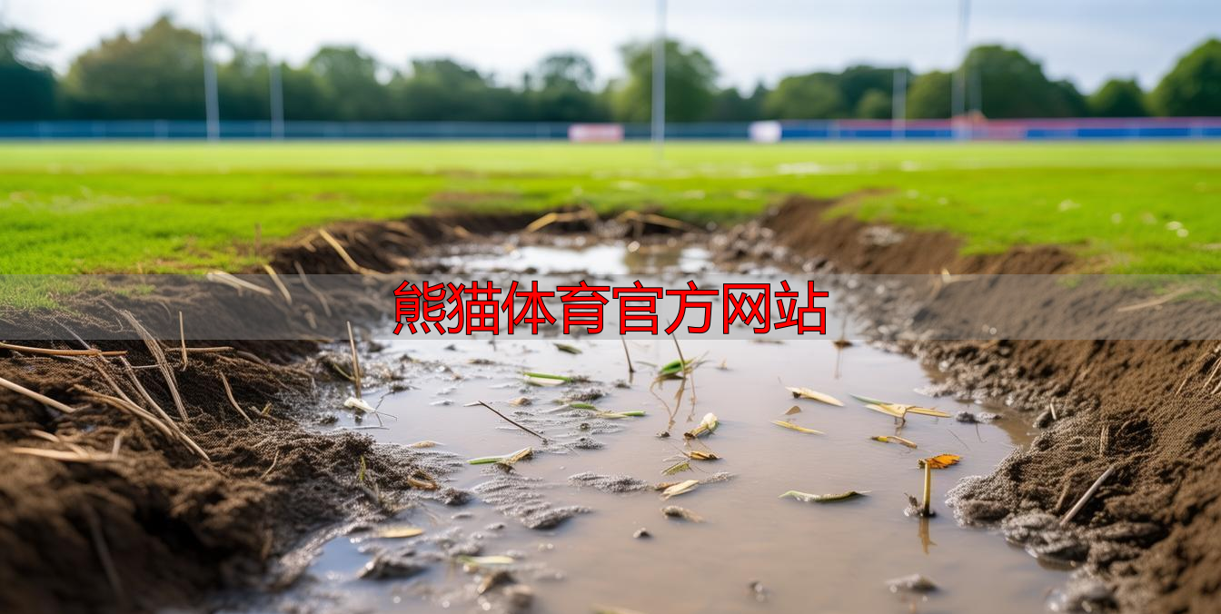 熊猫体育官方网站