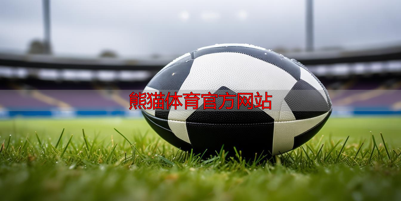 熊猫体育官方网站