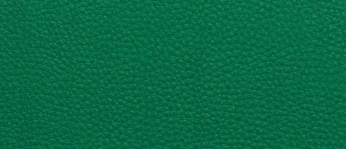 熊猫体育官方网站