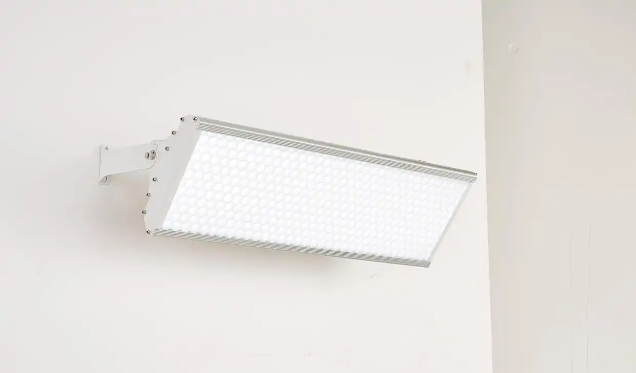 熊猫体育官方网站