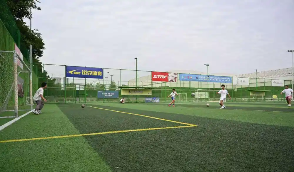 熊猫体育官方网站