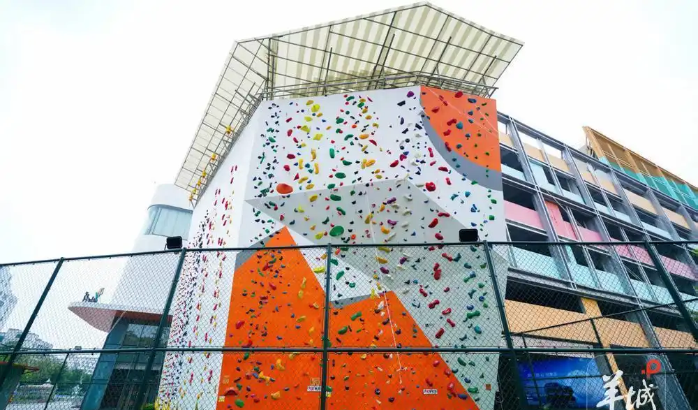 熊猫体育官方网站